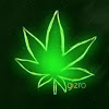Gizro