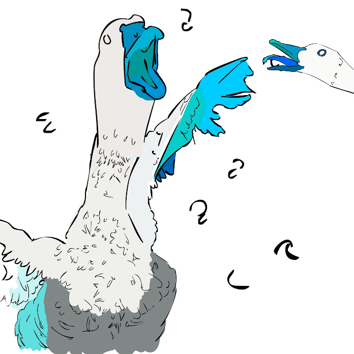 Brasztub Net Worth & Earnings (2026)