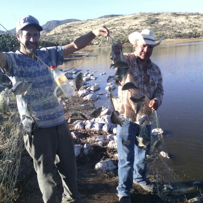 Jesus Reyes viramontes Net Worth & Earnings (2026)