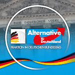 AfD-Fraktion Bundestag Net Worth