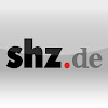 What could shz.de – Nachrichten aus Schleswig-Holstein buy with $100 thousand?