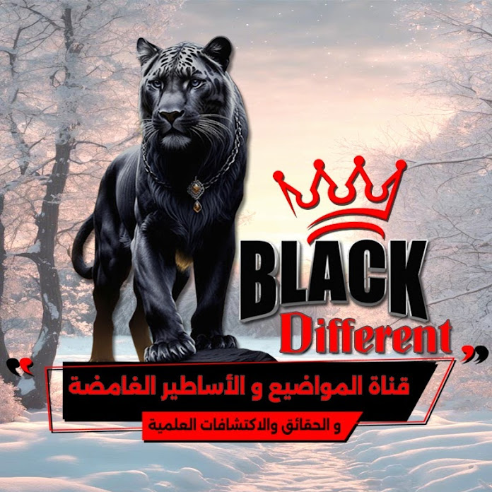 Numidia Records Net Worth & Earnings (2026)