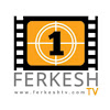 What could Ferkesh Tv buy with $3.54 million?