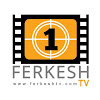 What could Ferkesh Tv buy with $3.5 million?