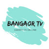 What could BangaorTV buy with $100 thousand?