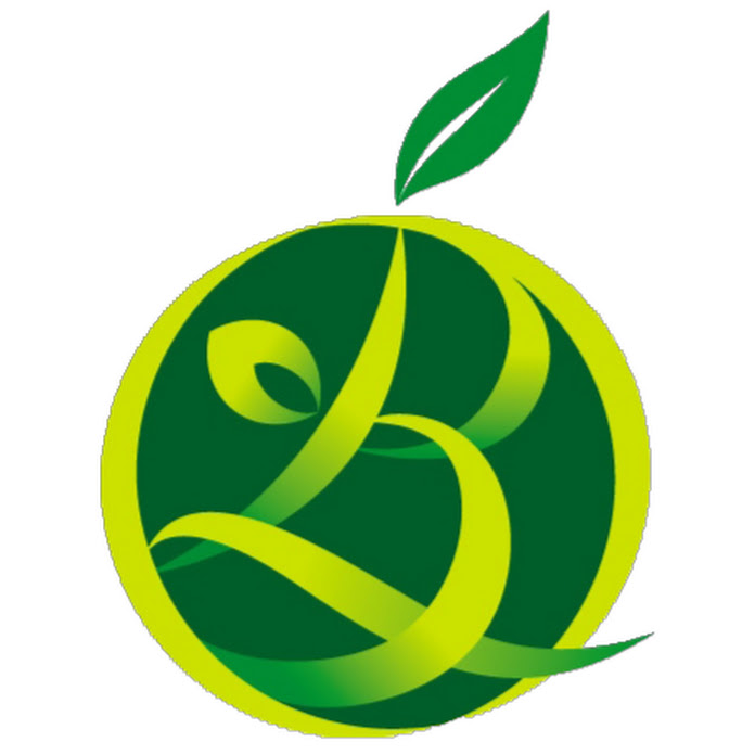 身體智慧-脊椎健康教育的領導品牌 Net Worth & Earnings (2026)