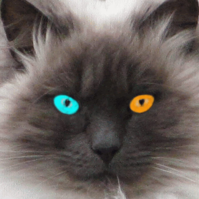 walkoARTvideos Net Worth & Earnings (2026)