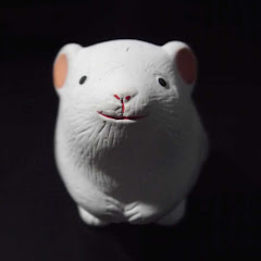 Satoshi T