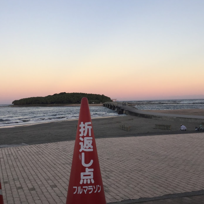 toyosina2008 Net Worth & Earnings (2026)