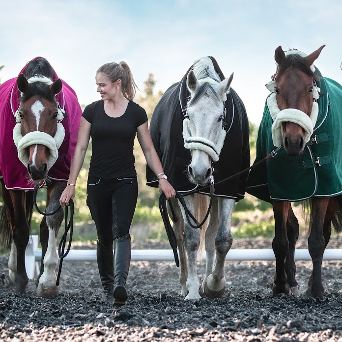 Momo's Turnier FMAs Net Worth & Earnings (2026)