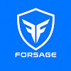 What could FOR-SAGE. INFO buy with $100 thousand?