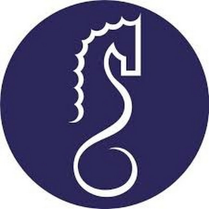 Santaportal Net Worth & Earnings (2026)