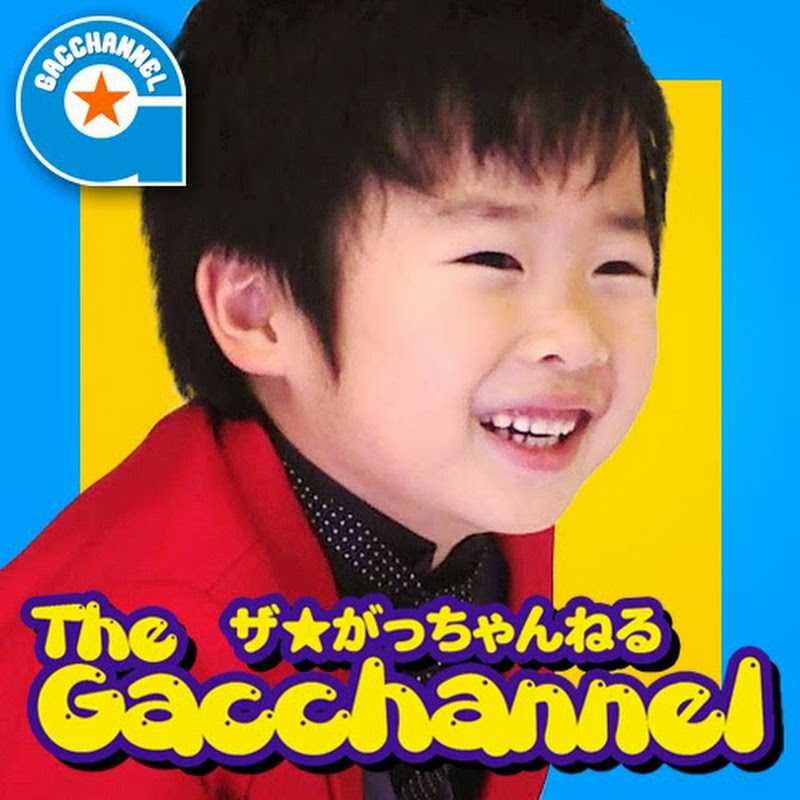 がっちゃんねる Thegacchannel Net Worth Earnings 21