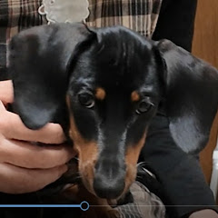 麻雀 リキ牌鬼屋