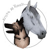 What could Kristy.M Ranch buy with $100 thousand?
