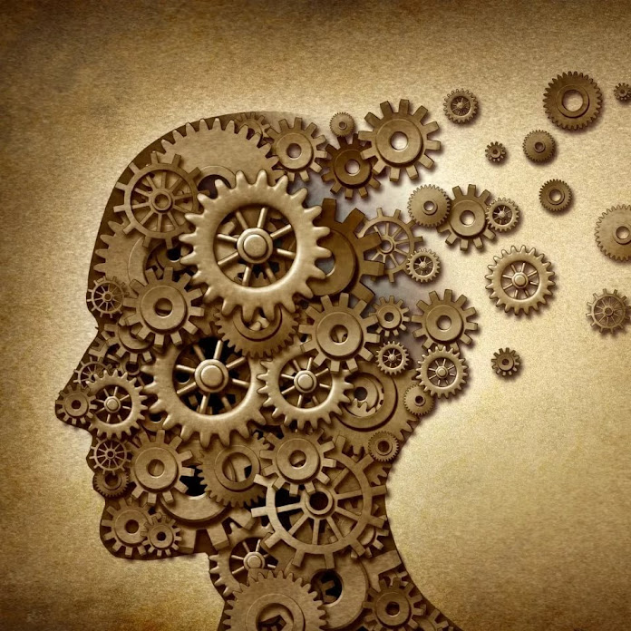 Таро. Психология Net Worth & Earnings (2026)