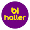 What could Bi Haller buy with $100 thousand?