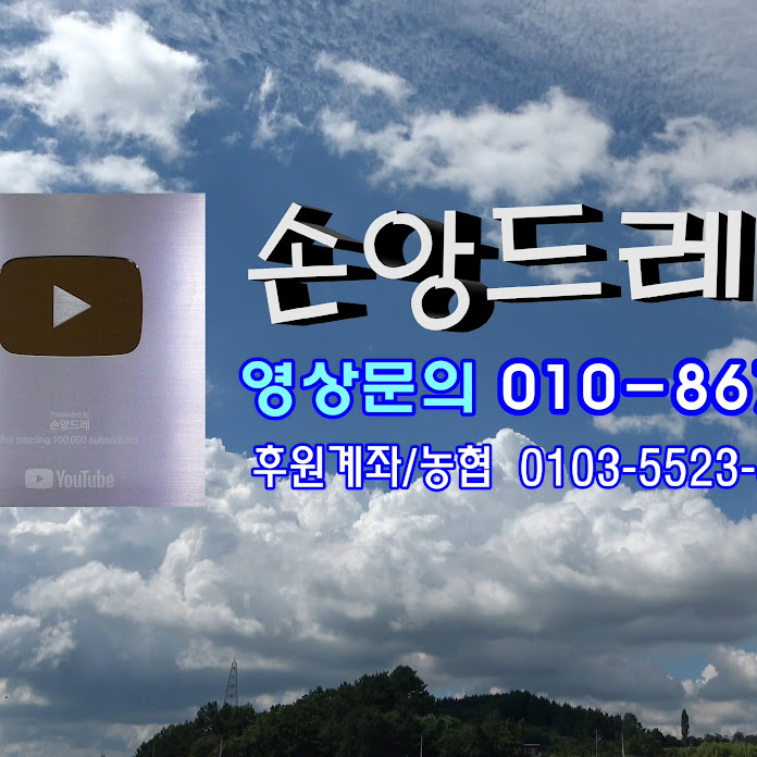 손앙드레 Net Worth & Earnings (2026)