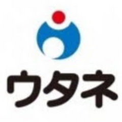 shin fuji