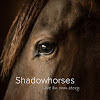 What could Shadowhorses - Live an own story buy with $100 thousand?