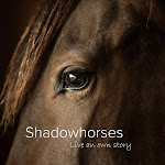 Shadowhorses - Live an own story Net Worth