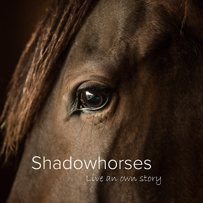 Shadowhorses - Live an own story Net Worth & Earnings (2023)