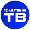 What could Познавательное ТВ buy with $100 thousand?