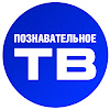 What could Познавательное ТВ buy with $100 thousand?
