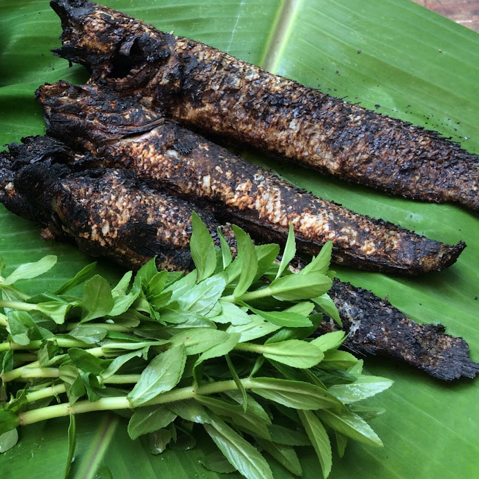 DÂN MIỀN TÂY Net Worth & Earnings (2026)