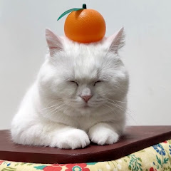 【コン】 ゆうき