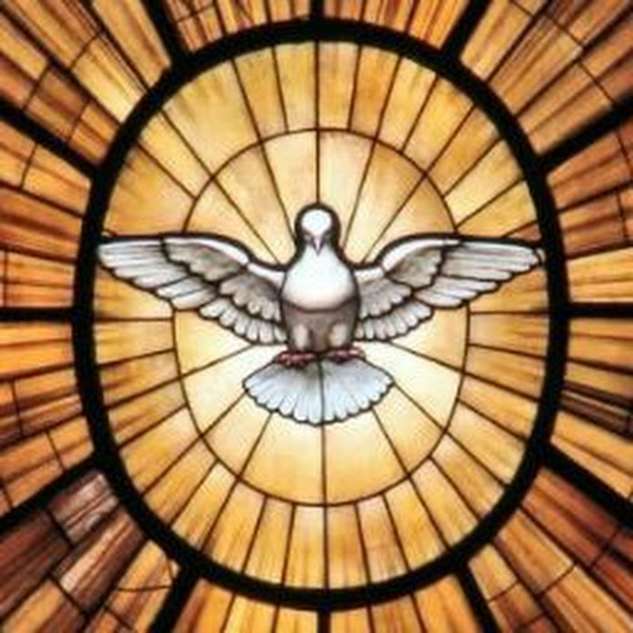 Católico Online Net Worth & Earnings (2026)