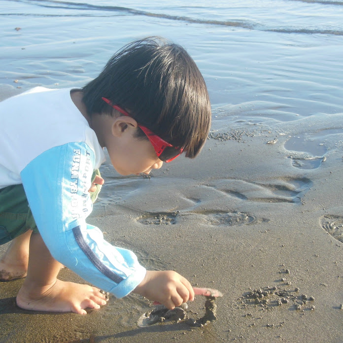 Anchas Channel Net Worth & Earnings (2026)