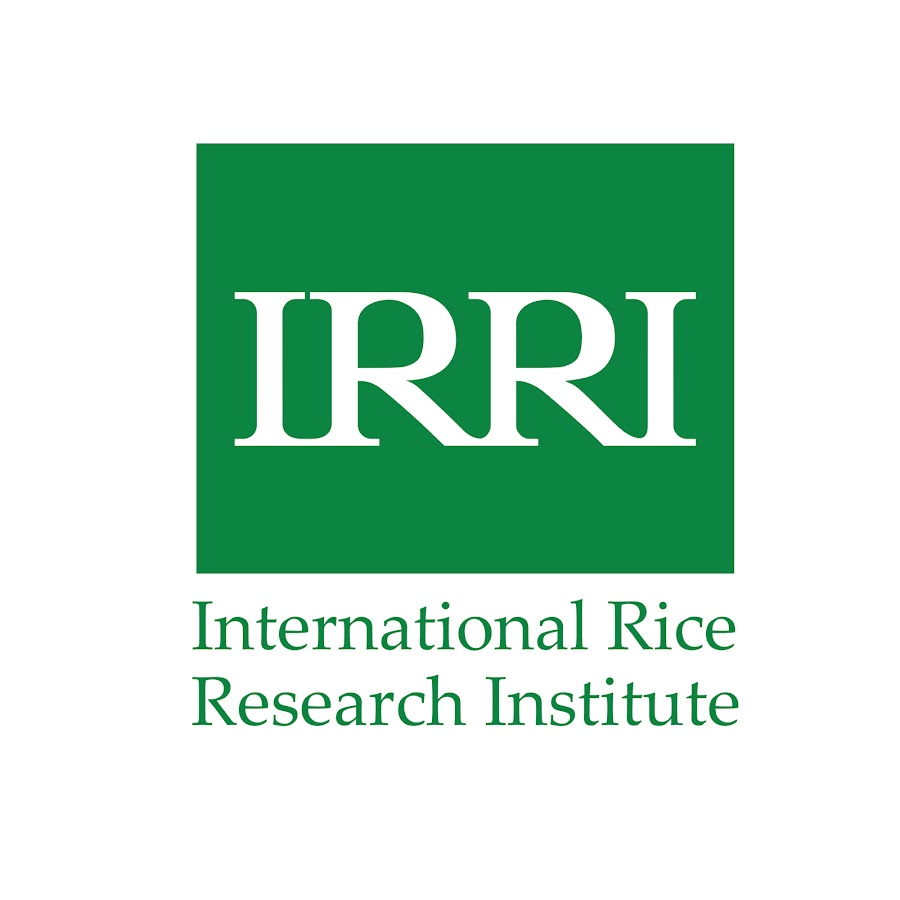 research institute of child development and education (rice)