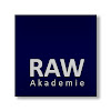 What could RAW Akademie buy with $100 thousand?