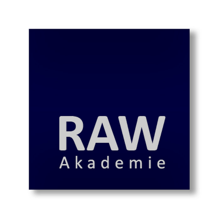 RAW Akademie Net Worth & Earnings (2023)
