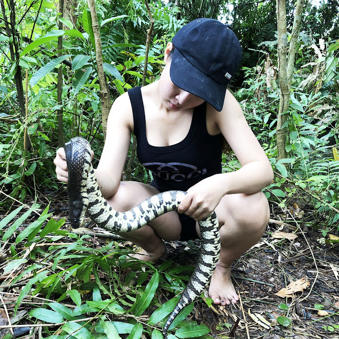 Primitive Technology with Survival Skills Net Worth & Earnings (2026)