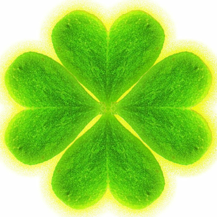 CAÇADORES DE TESOUROS Net Worth & Earnings (2026)