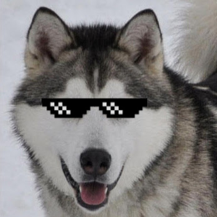 Bossianus Net Worth & Earnings (2025)