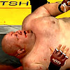 FAT of MMA
