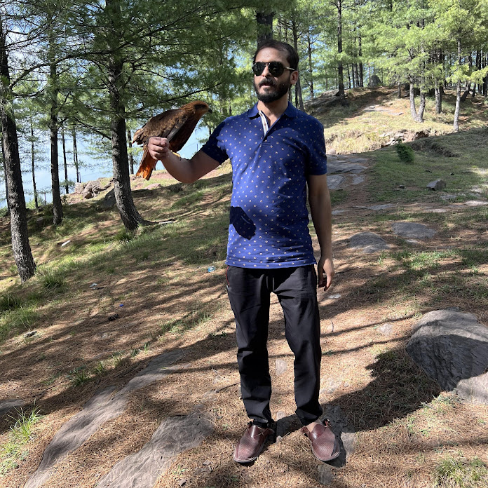 BD Voice Net Worth & Earnings (2026)