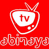 What could Abinaya TV buy with $100 thousand?