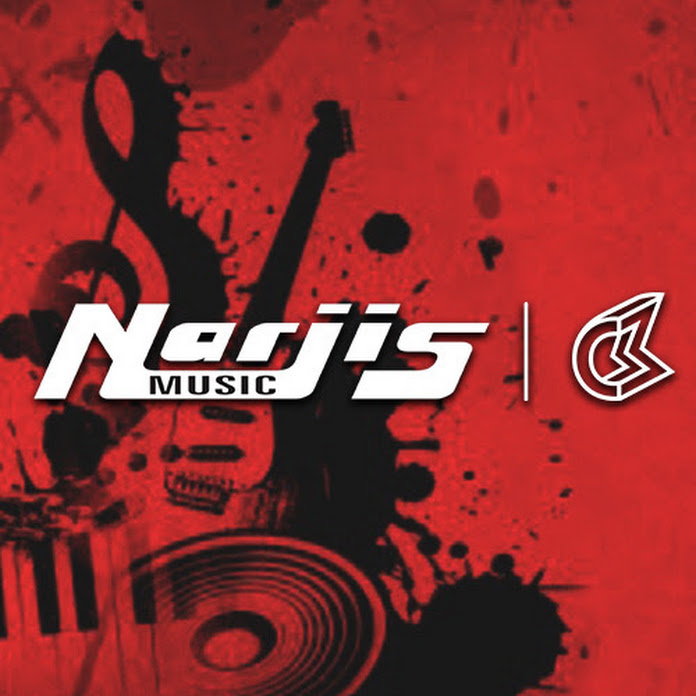 CM Narjis Net Worth & Earnings (2026)