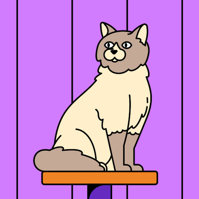 Teen Room Net Worth & Earnings (2025)