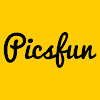 What could Picsfun buy with $445.46 thousand?