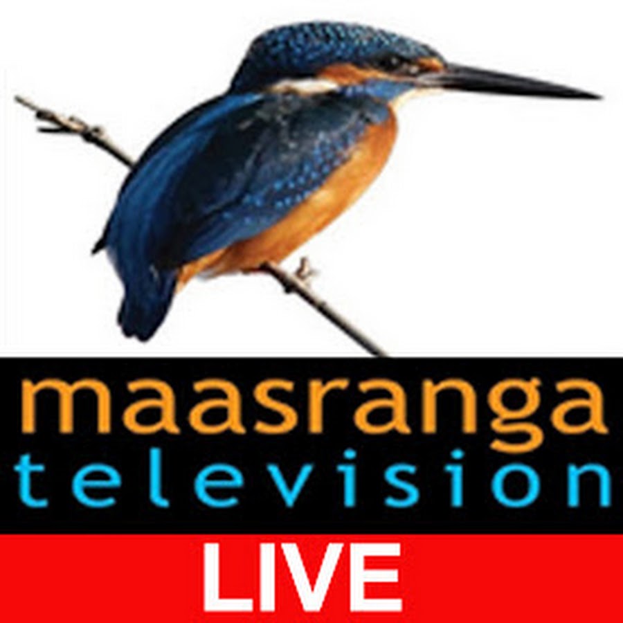 Maasranga TV Live - YouTube