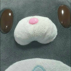 The Team TANUKI