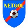 What could Netgol buy with $101.09 thousand?