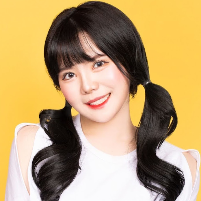 띠미 ddimmi Net Worth & Earnings (2025)