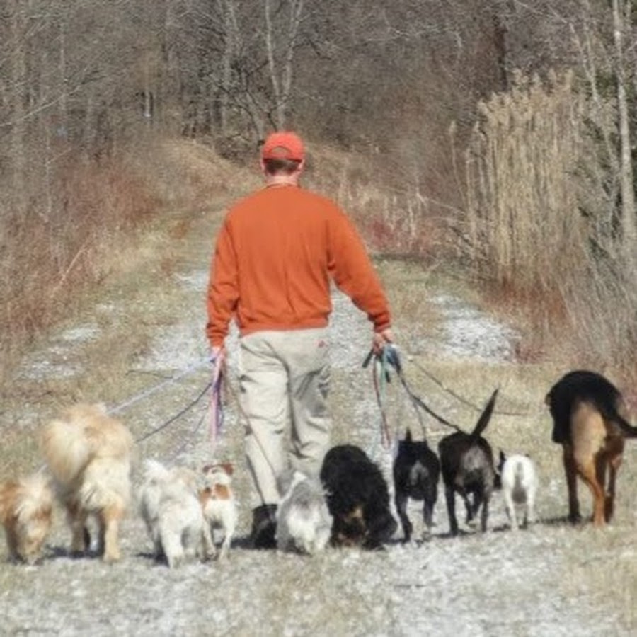 Vermont Dog Trainer YouTube
