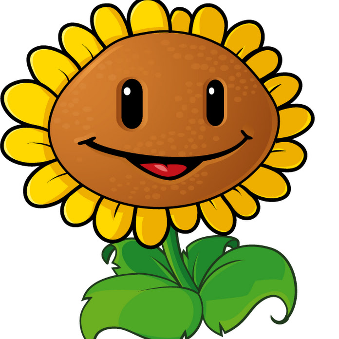 CJZZ17 Net Worth & Earnings (2026)